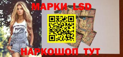 дмт Донской