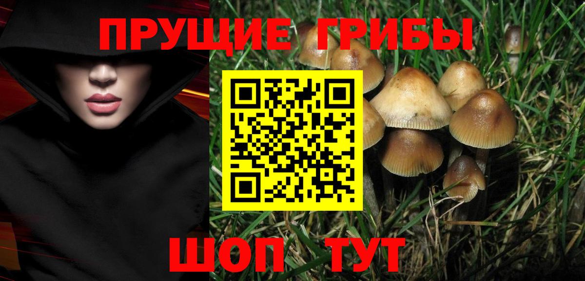 Псилоцибиновые грибы мицелий Набережные Челны